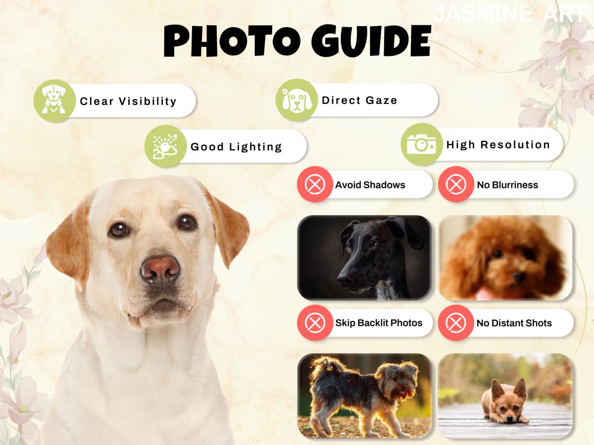 A guide titled "PHOTO GUIDE" with tips for taking good photos. The guide includes advice on clear visibility, direct gaze, good lighting, high resolution, and avoiding shadows, blurriness, backlit photos, and distant shots. A Labrador Retriever is featured.