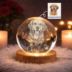 Personalized Pet Memorial Night Light, Pet Portrait Crystal Ball Night Light, Photo Crystal Light, Pet Loss, Pet Memorial Gift for Dog/Cat