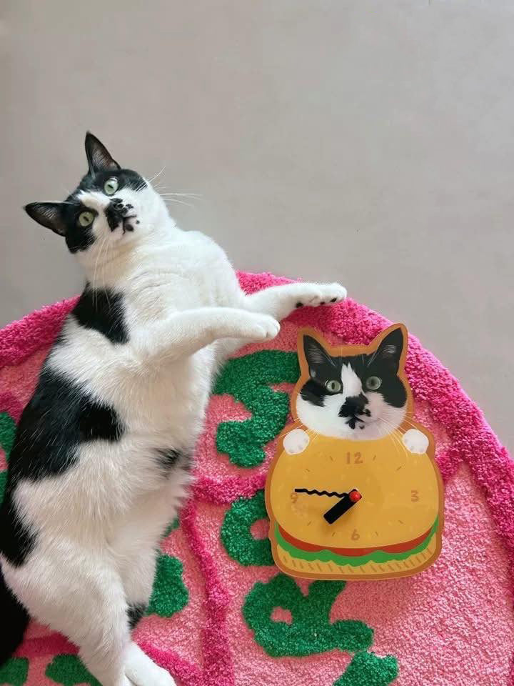 Custom Pet Wall Clock, Personalized Funny Gift for Pet Lovers, Cute Pet Home Decor, Custom Wall Clock