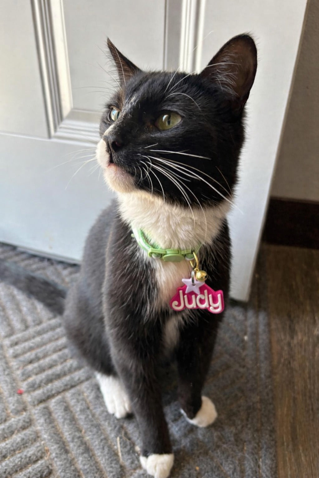 Custom 3D Printed Pet Name Keychain, Pet Key Chain, Name Keychain, Custom Key Ring, 3D Printed Name, Pet Collar Tag