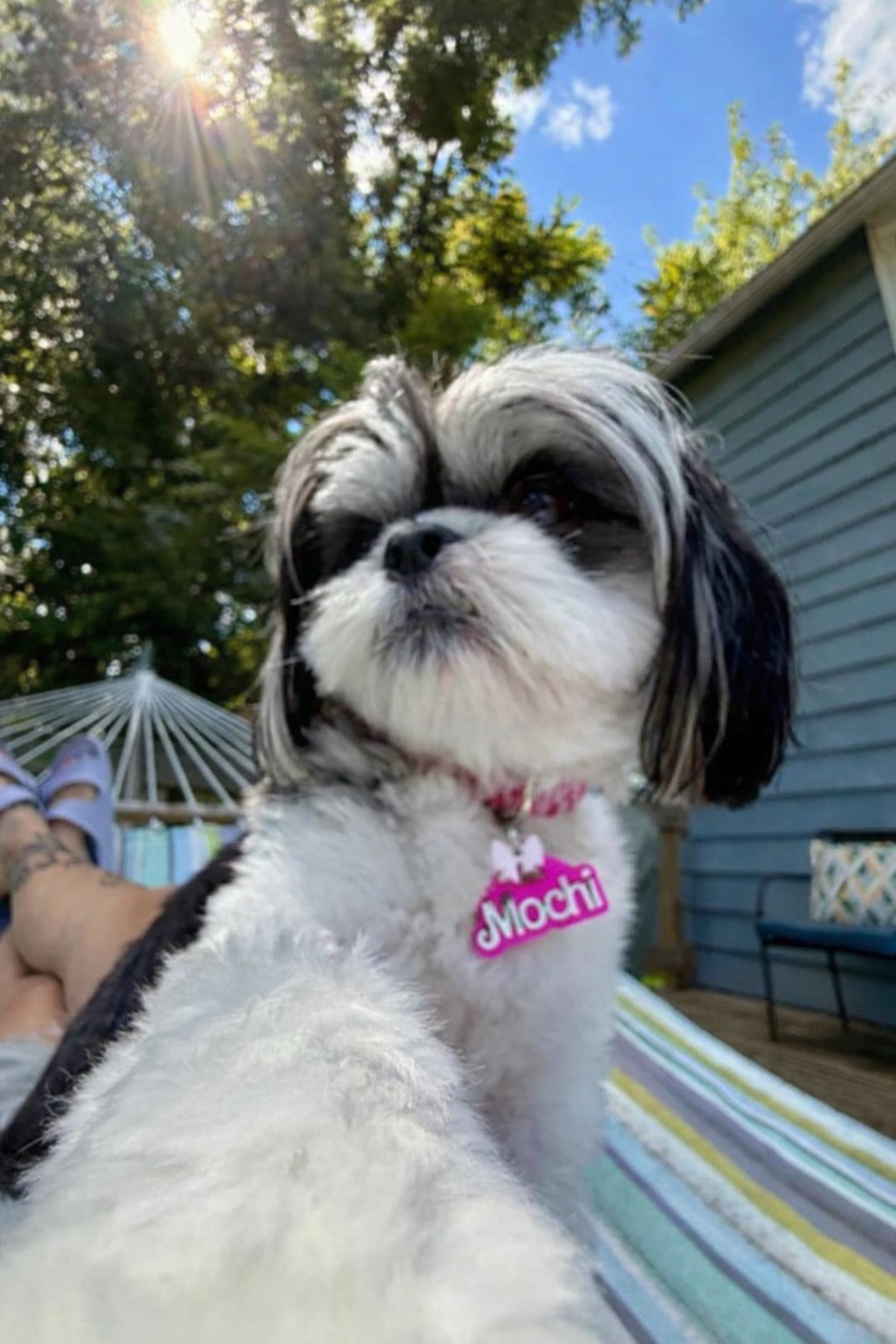 Custom 3D Printed Pet Name Keychain, Pet Key Chain, Name Keychain, Custom Key Ring, 3D Printed Name, Pet Collar Tag