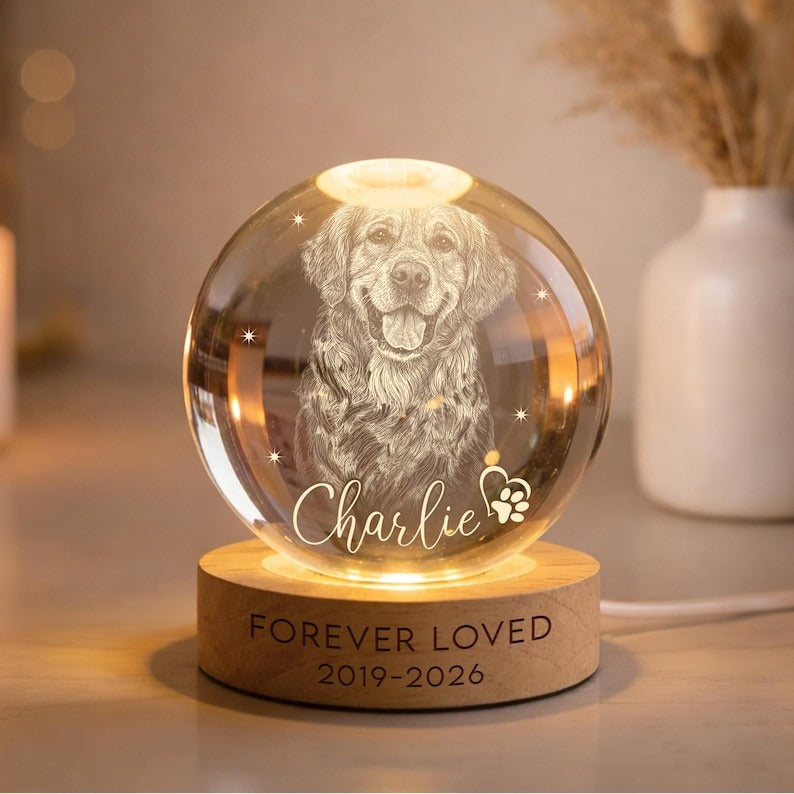Personalized Pet Memorial Night Light, Pet Portrait Crystal Ball Night Light, Photo Crystal Light, Pet Loss, Pet Memorial Gift for Dog/Cat