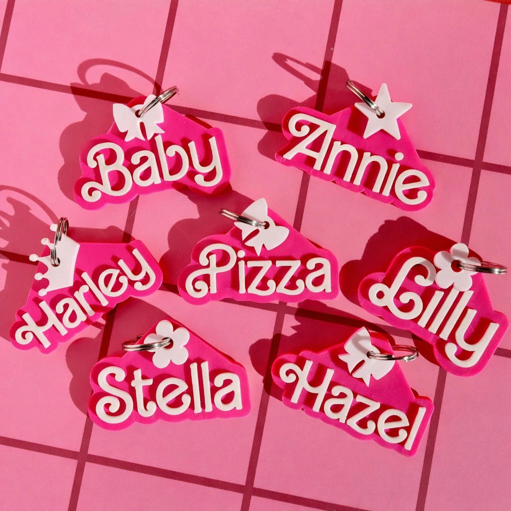 Custom 3D Printed Pet Name Keychain, Pet Key Chain, Name Keychain, Custom Key Ring, 3D Printed Name, Pet Collar Tag