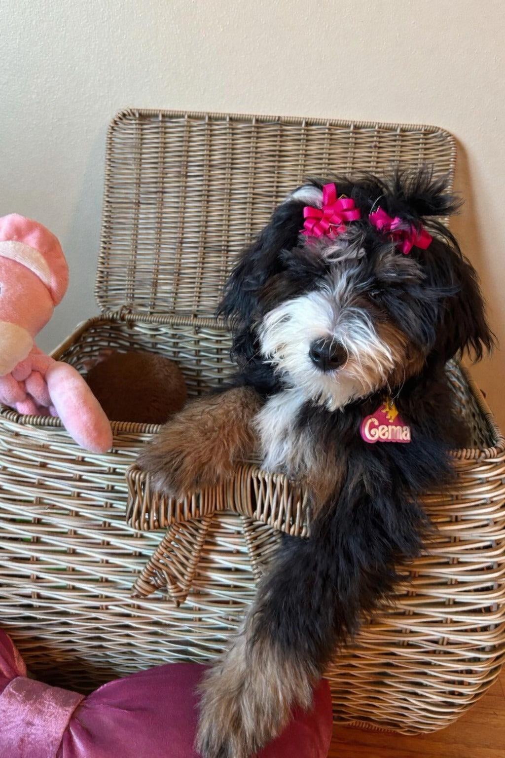 Custom 3D Printed Pet Name Keychain, Pet Key Chain, Name Keychain, Custom Key Ring, 3D Printed Name, Pet Collar Tag