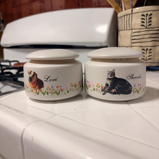 Custom Pet Portrait Ceramic Urn Box for Ashes, Pet Memorial Gifts, Personalized Pet Urn, Loss Of Pet Gifts, Dog Cat Owner Sympathy Gifts