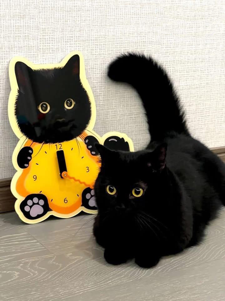 Custom Pet Wall Clock, Personalized Funny Gift for Pet Lovers, Cute Pet Home Decor, Custom Wall Clock