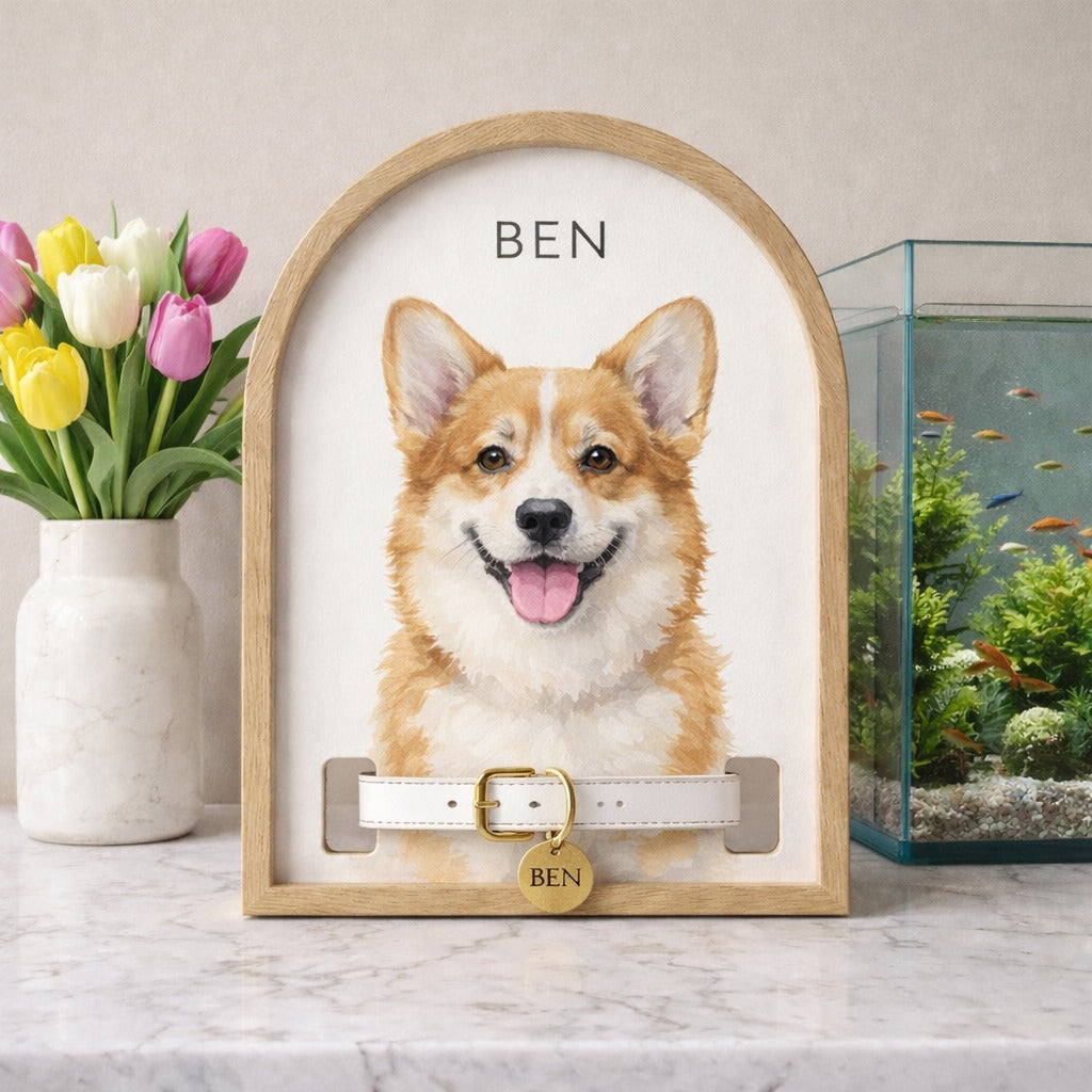 Personalized Dog Memorial Wood Frame With Collar Holder, Custom Memorial Pet Collar Sign with Photo, Dog Memorial Gifts, Dog Sympathy Gift