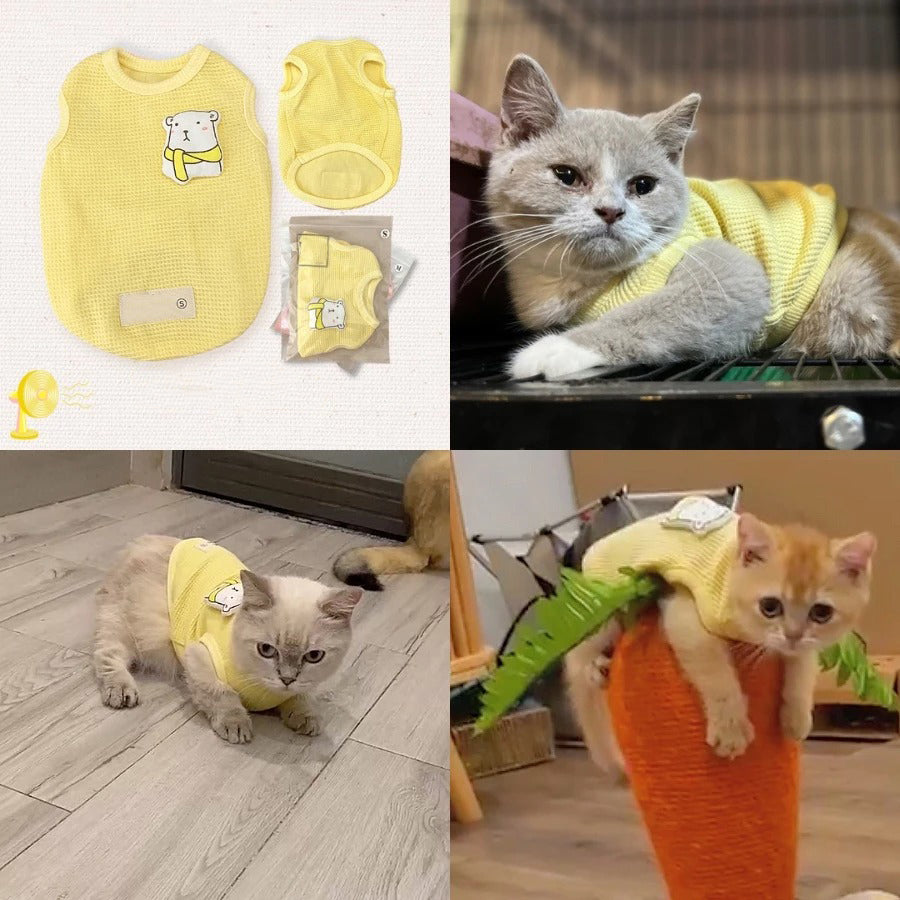 Cute Shirt For Pet, Dog Cat Clothing, Pet Shirt, Stretch Shirt, Summer Clothing For Pet, Comfortable Clothing