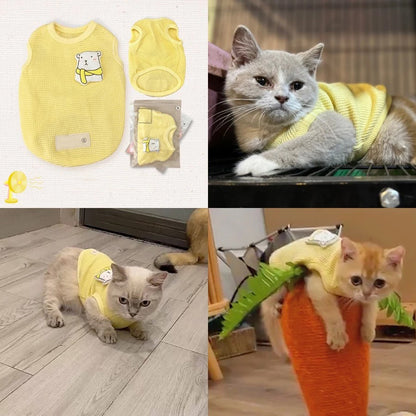 Cute Shirt For Pet, Dog Cat Clothing, Pet Shirt, Stretch Shirt, Summer Clothing For Pet, Comfortable Clothing