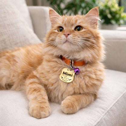 Personalized Pet Collar Tag, Dog Cat Tag, Custom Cat Collar Tag, Pet ID Tag, Engraved Pet Tag, Pet Name (Copy)