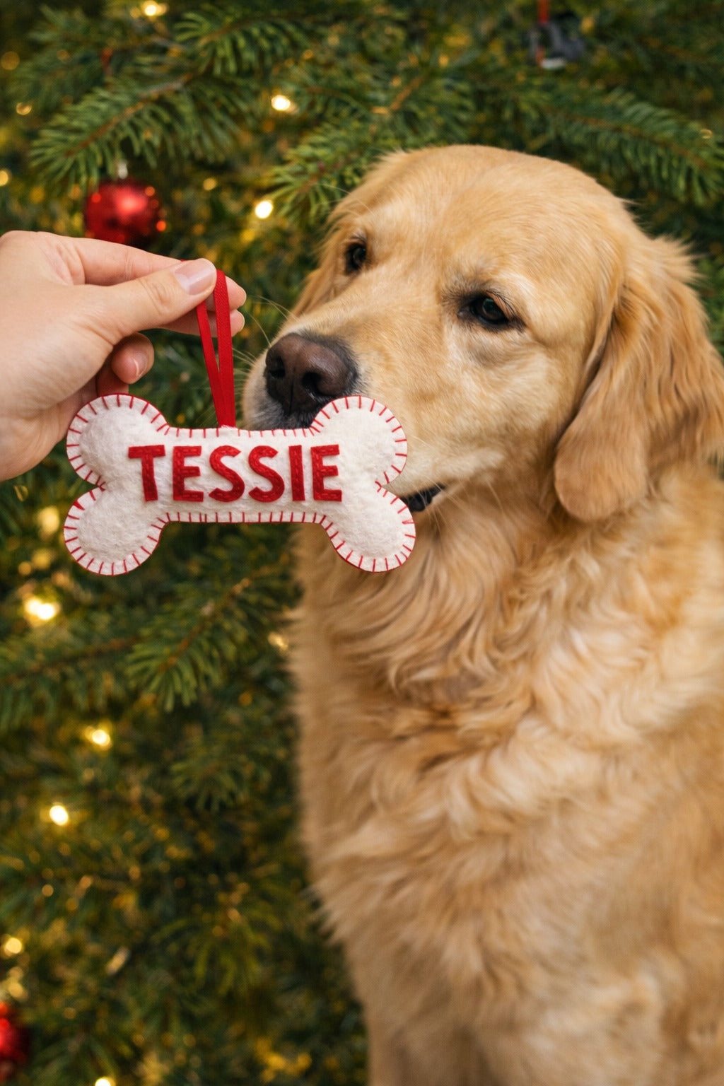 Handmade Dog with Bone Felt Ornament, Custom Bone Felt Ornament Gift, Dog Lover Gift, Hanging Decor, Holiday Ornament