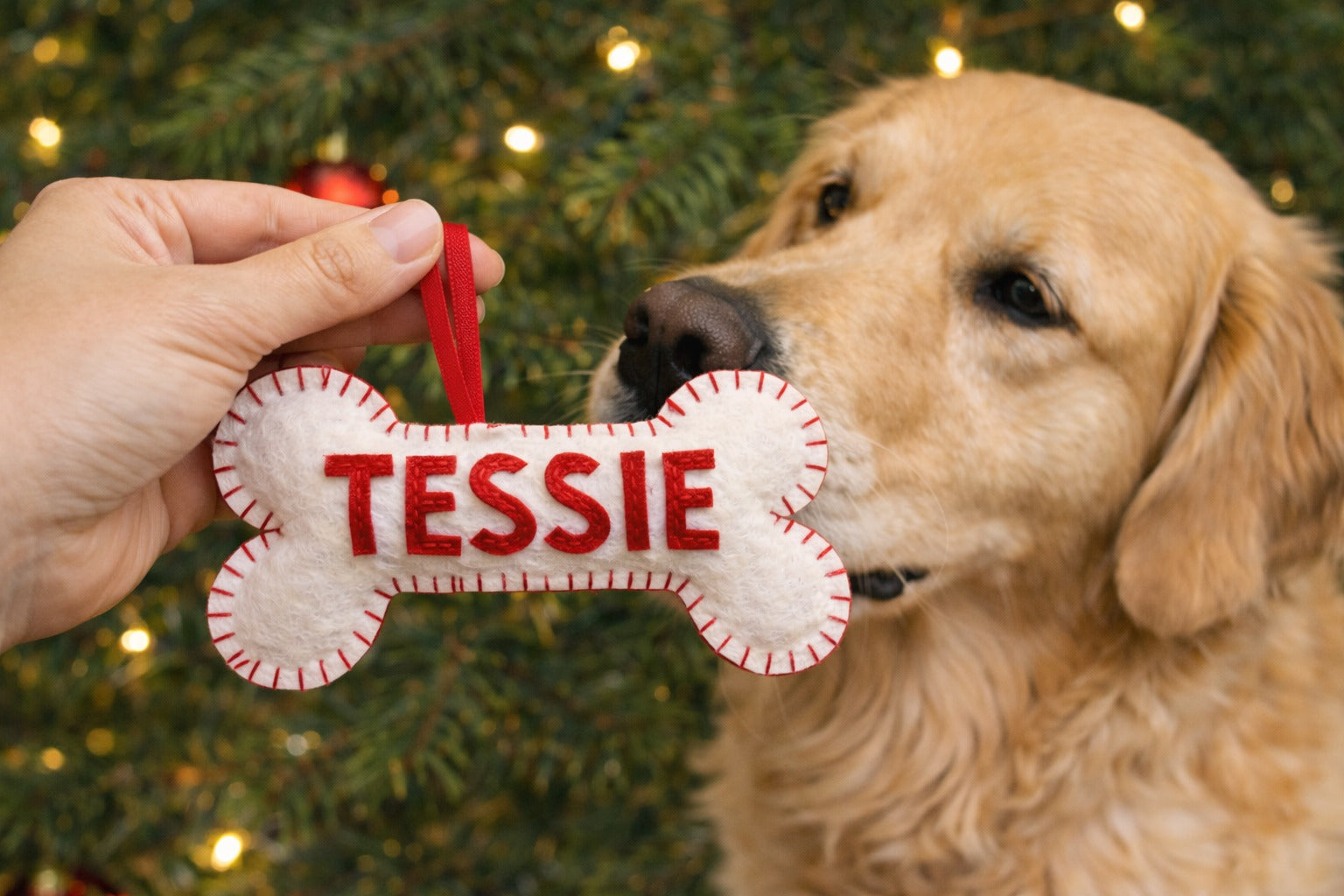 Handmade Dog with Bone Felt Ornament, Custom Bone Felt Ornament Gift, Dog Lover Gift, Hanging Decor, Holiday Ornament