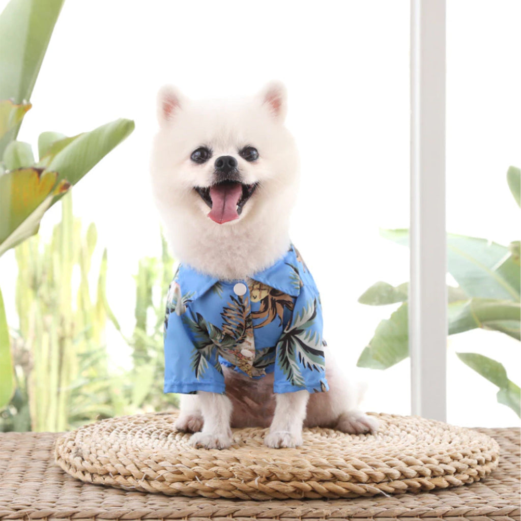 Hawaiian Shirt For Cat Dog, Dog Hawaiian Shirt, Cat Summer Shirt, Summer Pet Shirt, Tropical Pattern Shirt For Pet
