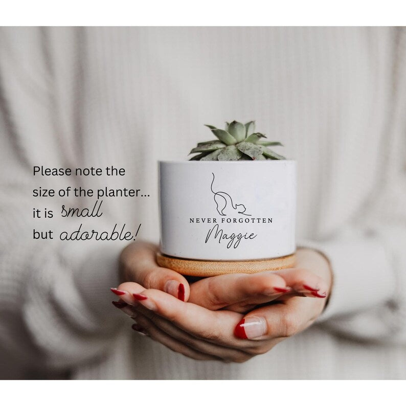 Personalized Cat Memorial Plant Pot, Custom Cat Memorial for Beloved Cat, Cat Lover Gift