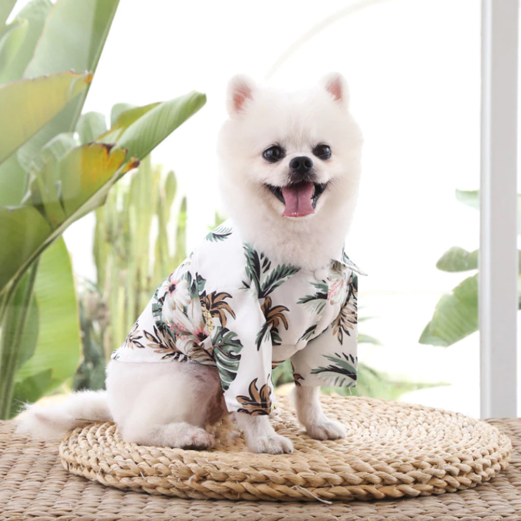 Hawaiian Shirt For Cat Dog, Dog Hawaiian Shirt, Cat Summer Shirt, Summer Pet Shirt, Tropical Pattern Shirt For Pet