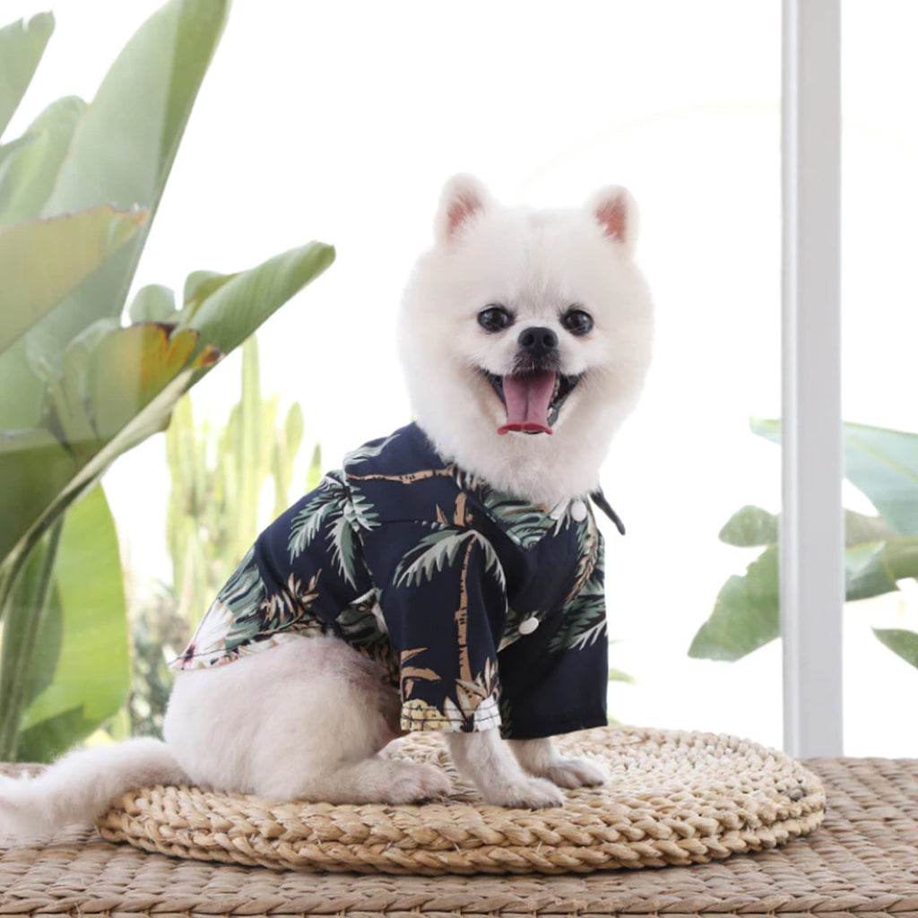 Hawaiian Shirt For Cat Dog, Dog Hawaiian Shirt, Cat Summer Shirt, Summer Pet Shirt, Tropical Pattern Shirt For Pet