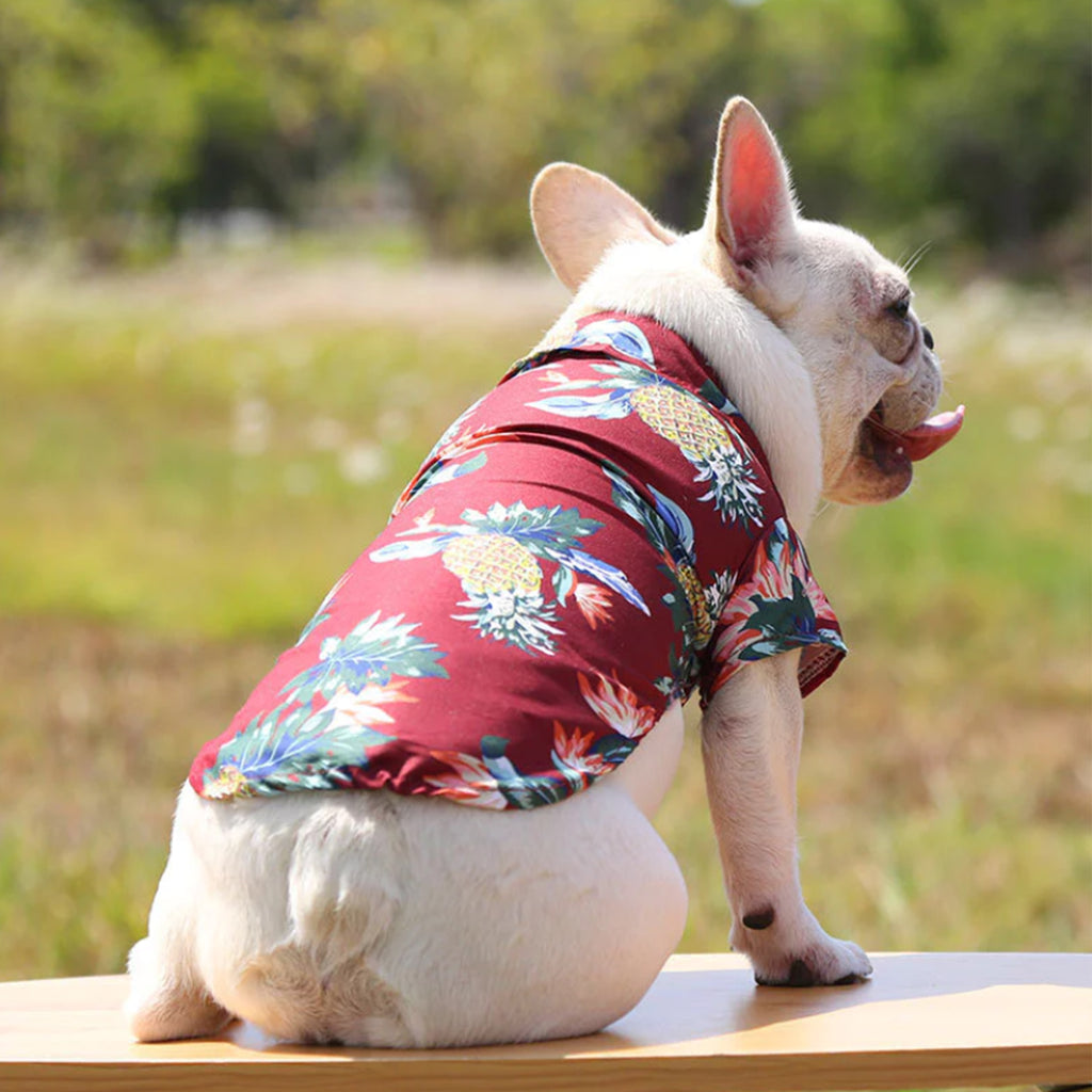 Hawaiian Shirt For Cat Dog, Dog Hawaiian Shirt, Cat Summer Shirt, Summer Pet Shirt, Tropical Pattern Shirt For Pet