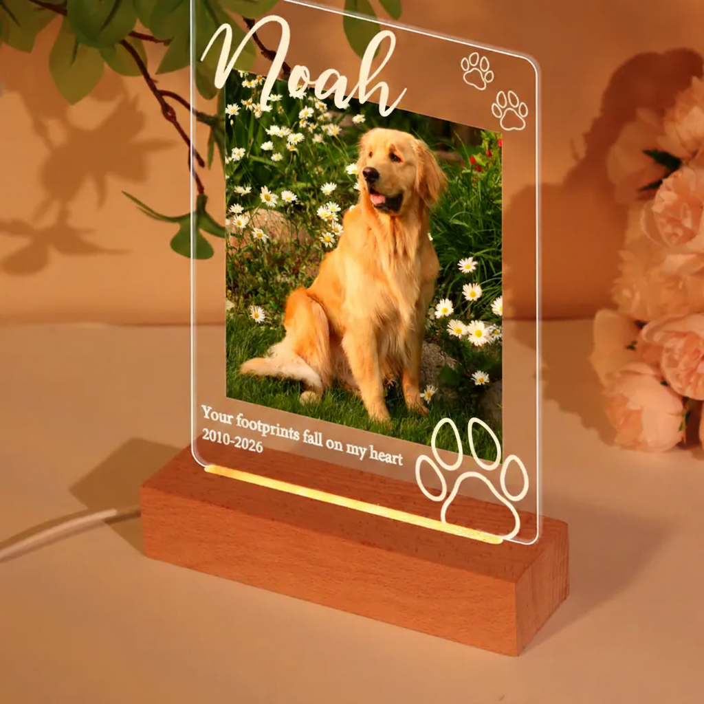 Paw Print Pet Photo Night Light - Personalized Acrylic Memorial Plaque With Name & Dates - Pet Loss Gift