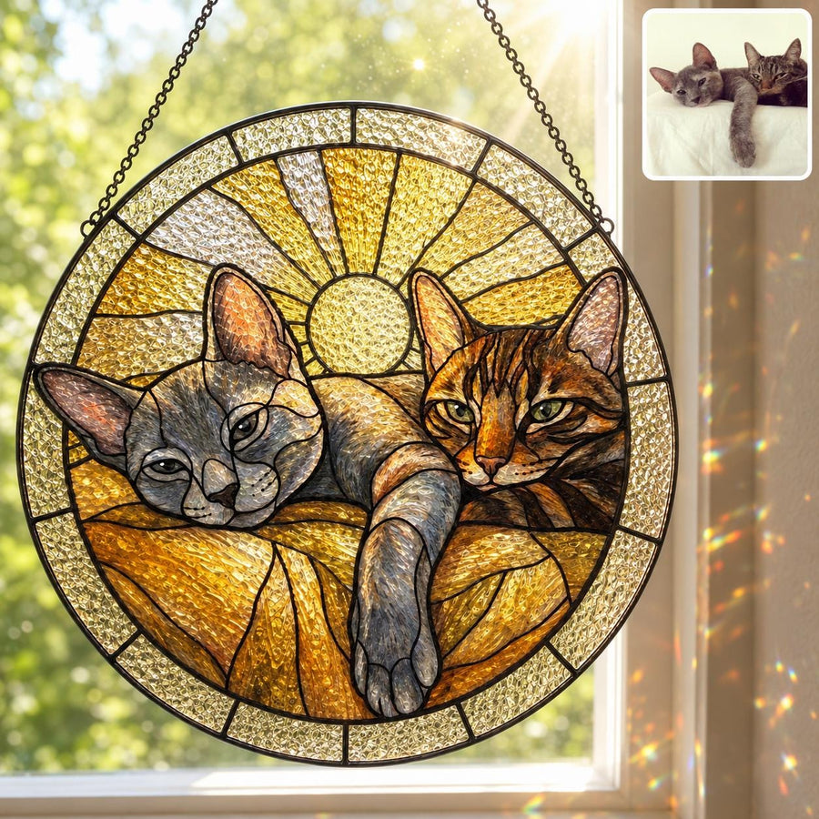 A circular stained glass suncatcher featuring two cats resting on a textured amber background. The left cat is grey, and the right cat is brown tabby. A sunburst pattern radiates from the center. A metal chain is attached for hanging.