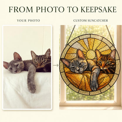 A custom circular stained glass suncatcher featuring two cats resting on a textured amber background with a sunburst design. The piece is displayed hanging in a window, showing a transformation from a reference photograph of two cats.