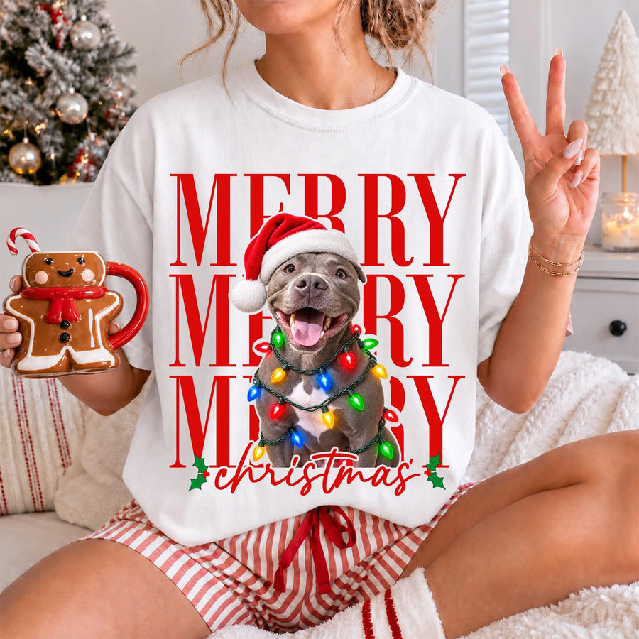 Merry Christmas Pet Photo Shirt - Personalized Dog In Santa Hat & Christmas Lights Tee - Gift For Dog Moms