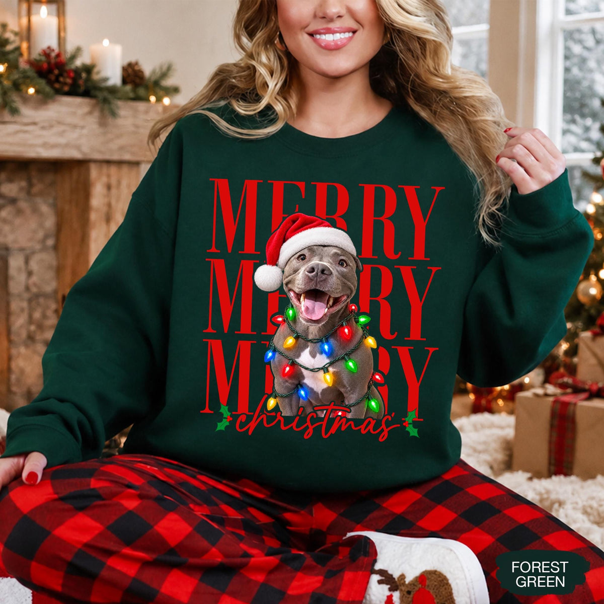 Merry Christmas Pet Photo Shirt - Personalized Dog In Santa Hat & Christmas Lights Tee - Gift For Dog Moms