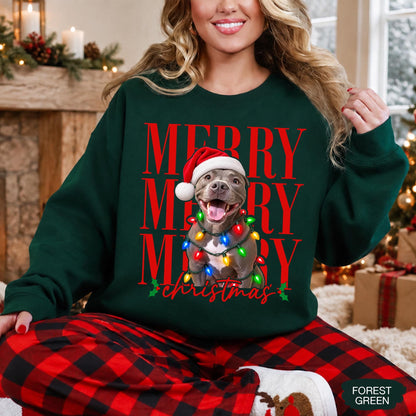 Merry Christmas Pet Photo Shirt - Personalized Dog In Santa Hat & Christmas Lights Tee - Gift For Dog Moms