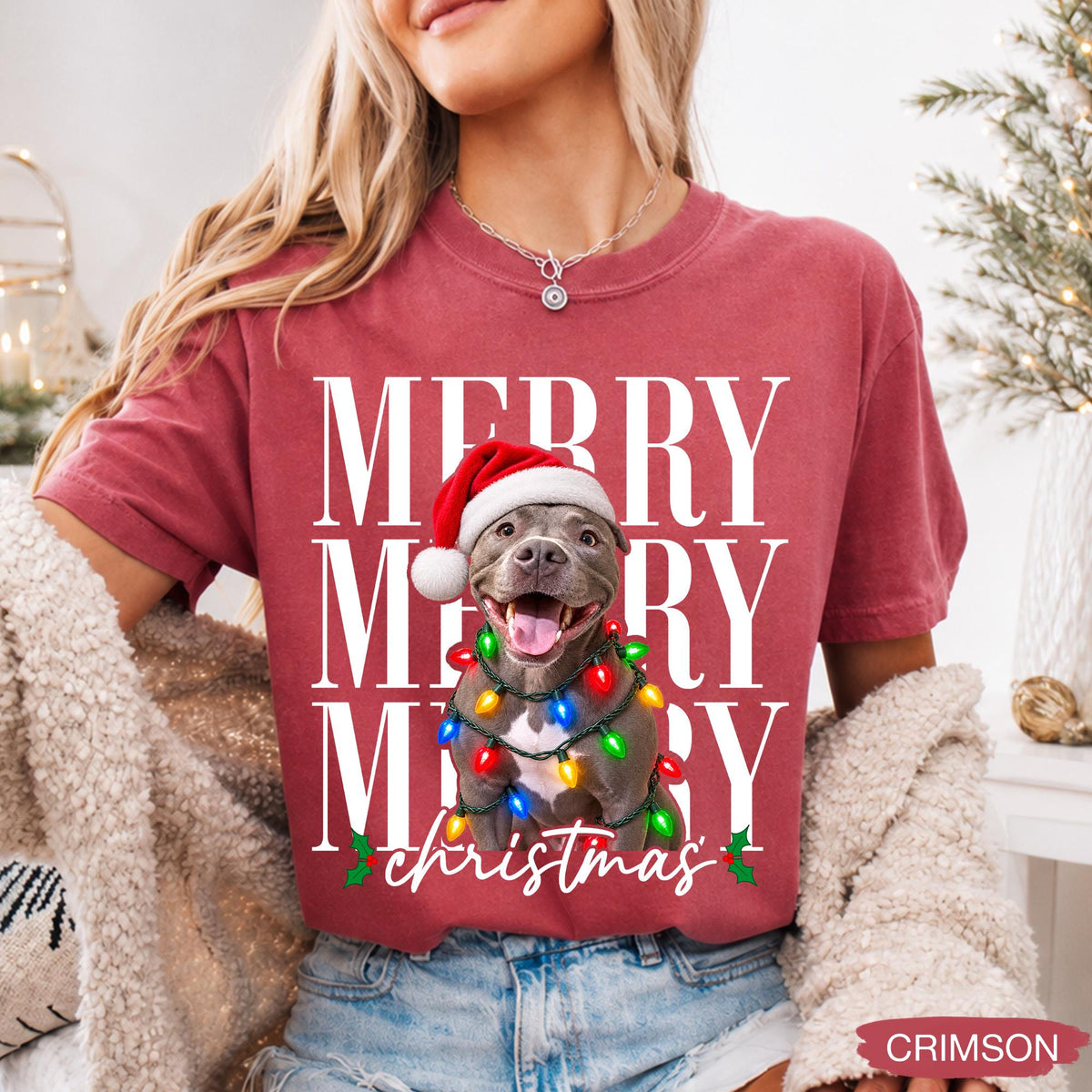 Merry Christmas Pet Photo Shirt - Personalized Dog In Santa Hat & Christmas Lights Tee - Gift For Dog Moms