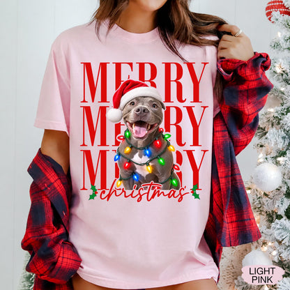 Merry Christmas Pet Photo Shirt - Personalized Dog In Santa Hat & Christmas Lights Tee - Gift For Dog Moms