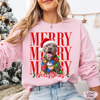 Merry Christmas Pet Photo Shirt - Personalized Dog In Santa Hat & Christmas Lights Tee - Gift For Dog Moms