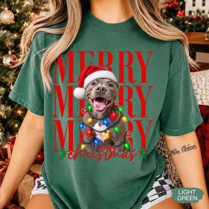 Merry Christmas Pet Photo Shirt - Personalized Dog In Santa Hat & Christmas Lights Tee - Gift For Dog Moms
