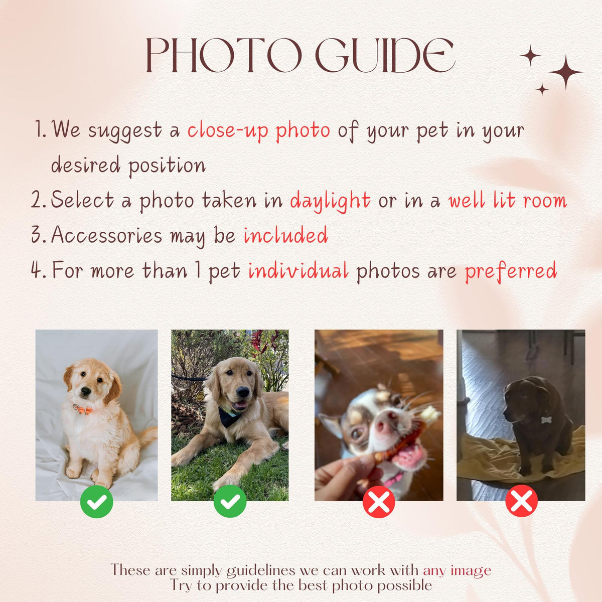 A photo guide with text instructions for pet photography. It lists four tips for selecting images, including using close-ups, daylight, and individual photos. Four example pet photos are shown, two marked with green checkmarks and two with red X marks.