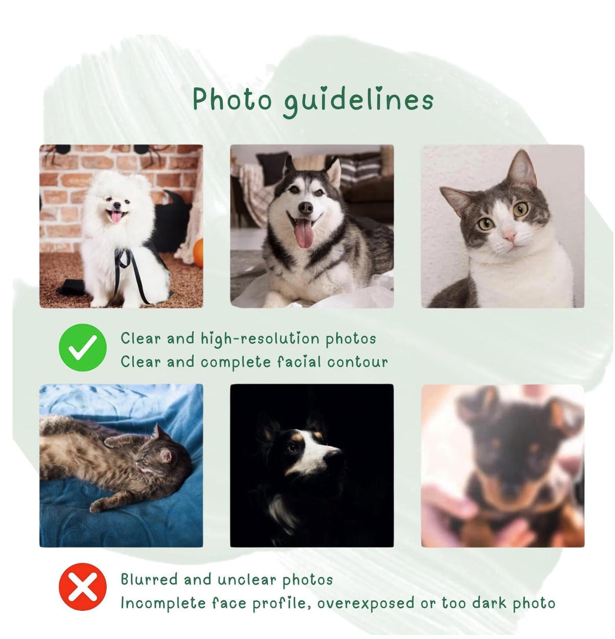 An informational graphic with the title "Photo guidelines" and examples of acceptable and unacceptable pet photos. The top row shows a white dog, a husky, and a cat. The bottom row shows a cat, a dog, and a blurry dog.