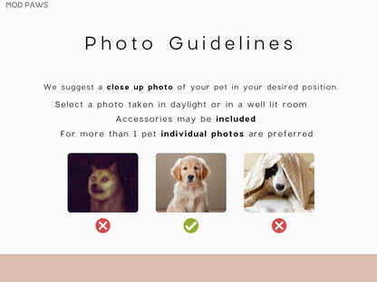 A graphic with the text "Photo Guidelines" and examples of pet photos. The text suggests a close-up photo in daylight or a well-lit room. Accessories are allowed, and individual photos are preferred for multiple pets.