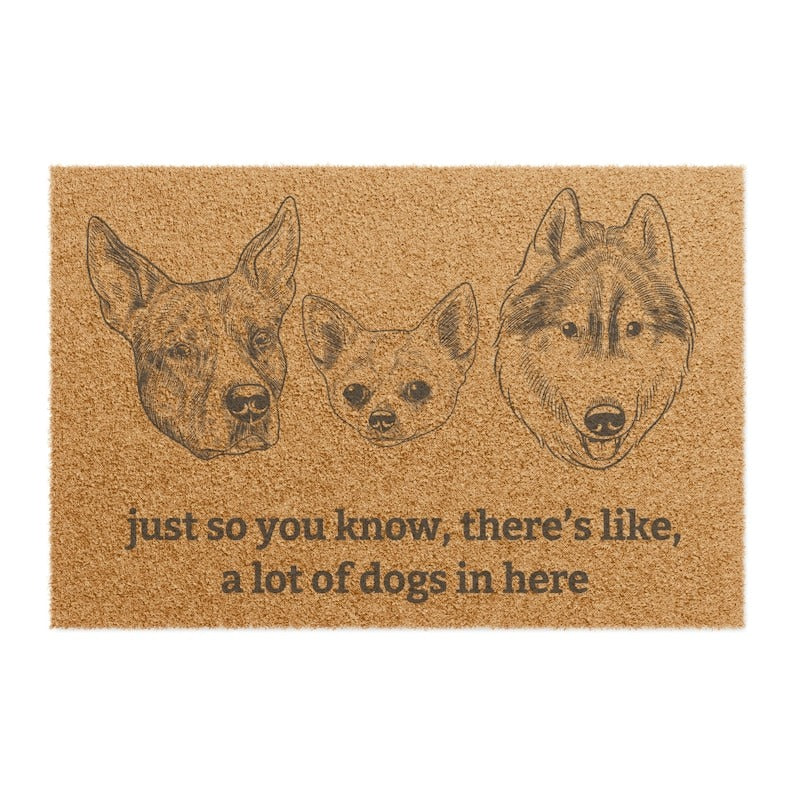 Personalized Pet Doormat, Custom Family Name Mat, Natural Coir Fibe, Dog Cat Doormat, Custom Pet Decor, Home Decor