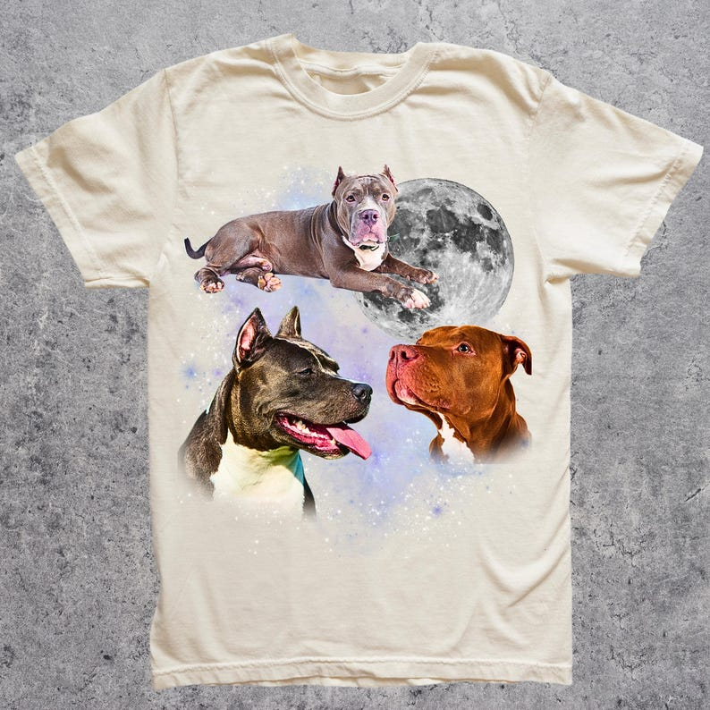 Three Pitbull Graphic T-shirts, Vintage Pitbull Moon Tshirt, Pitbull Shirt, Funny Pitbull Tee, Pitbull Meme Shirt, Pitbull Tshirt, Dog Shirt