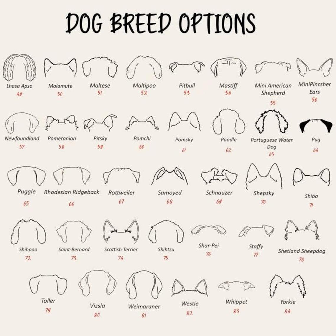 A chart titled DOG BREED OPTIONS displaying black line drawings of various dog ear shapes and head silhouettes. Each illustration is labeled with the breed name and a corresponding red number ranging from 49 to 84.