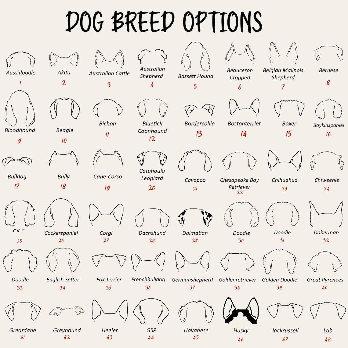 A chart titled DOG BREED OPTIONS displaying 48 black line drawings of various dog ear shapes. Each illustration is labeled with the breed name and a corresponding red number, ranging from 1 to 48, on a light cream background.