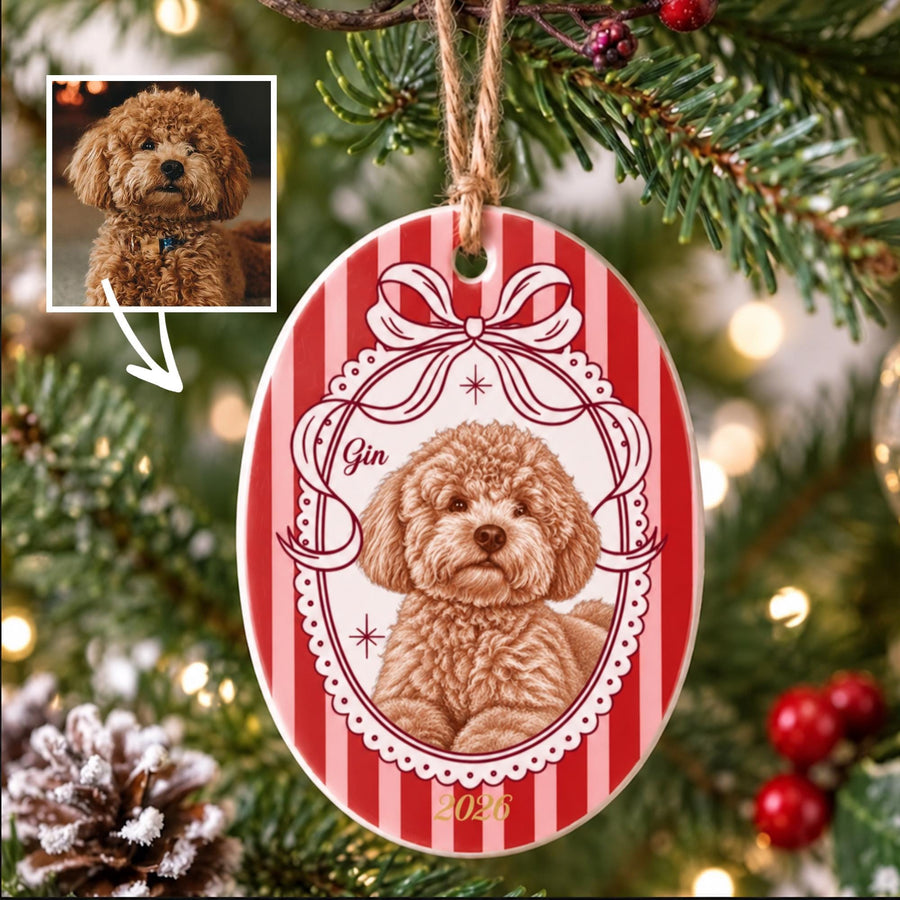 An oval ceramic Christmas ornament featuring a red and white striped background. A central white oval frame with a decorative bow contains a detailed illustration of a brown curly-haired dog. The name Gin and the year 2026 are printed.
