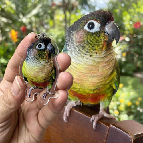 Custom Parrot Keychain, Personalized Bird Photo Keychain